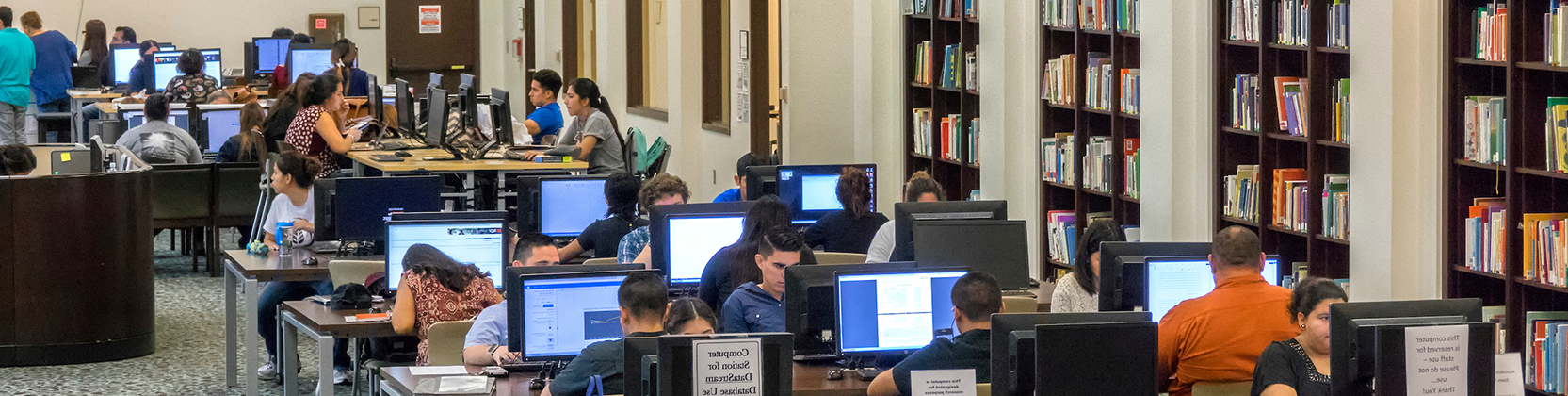 Students using the computers at the 布朗斯威尔 Campus library.